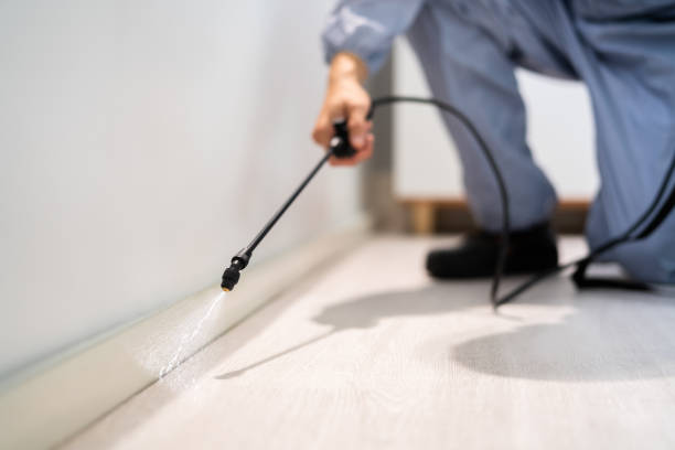 Licensed Mosquito Control service in Glenarden, MD - Show Me Pest Control
