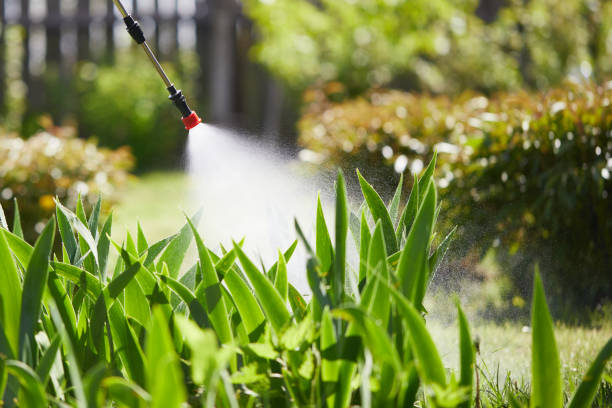 24/7 Emergency Mosquito Control experts in Glenarden, MD