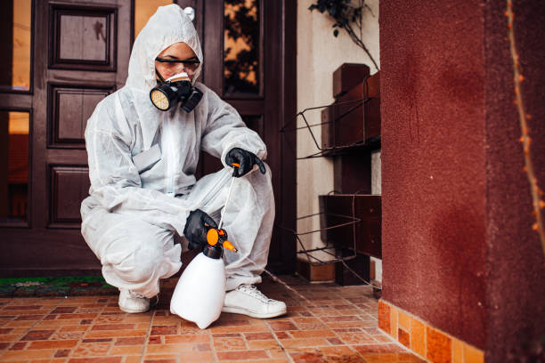 Reliable Mosquito Control contractor in Glenarden, MD by Show Me Pest Control